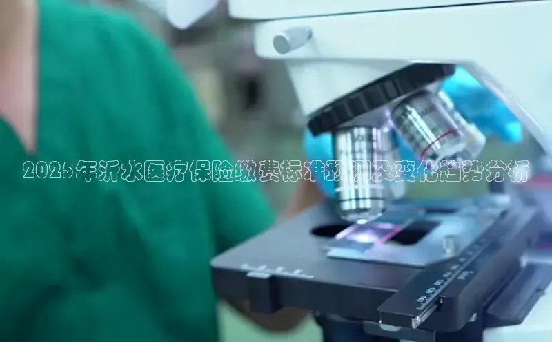 MK体育在线登录入口