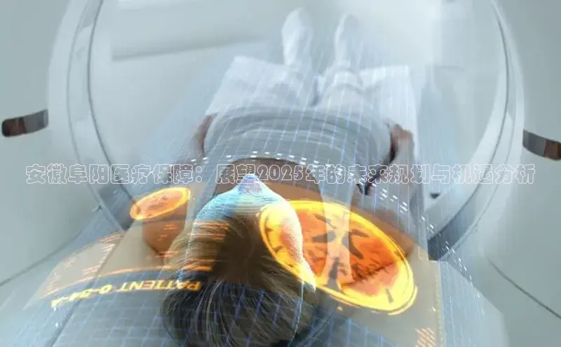 MK体育平台网页版入口